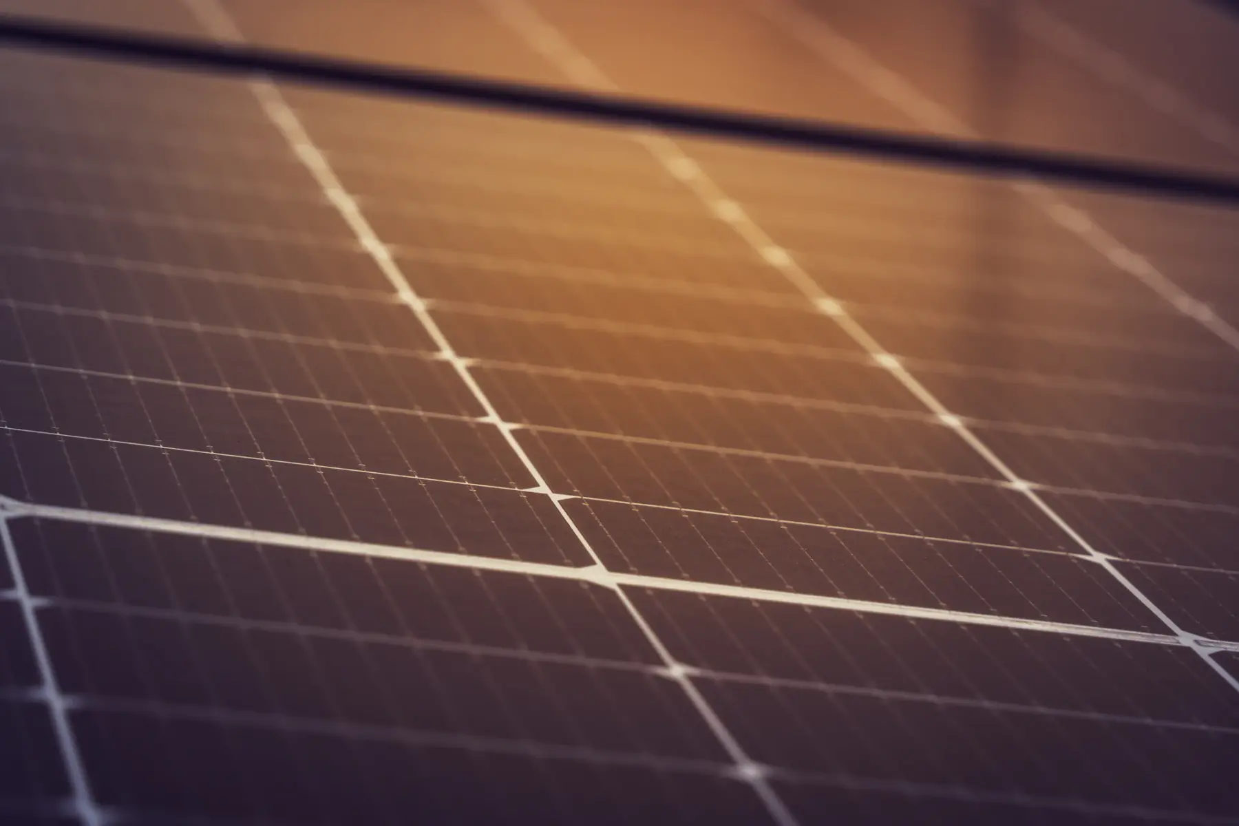 Detalhe das células de uma placa solar com reflexo dourado do sol