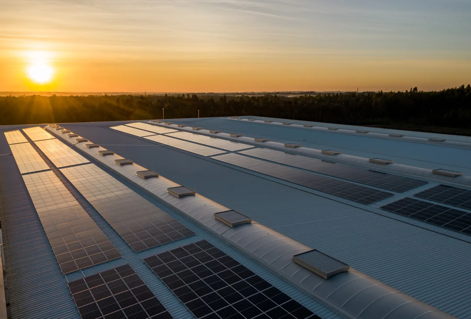 Fileiras de placas solares sobre um grande telhado ao pôr do sol, com mata no horizonte