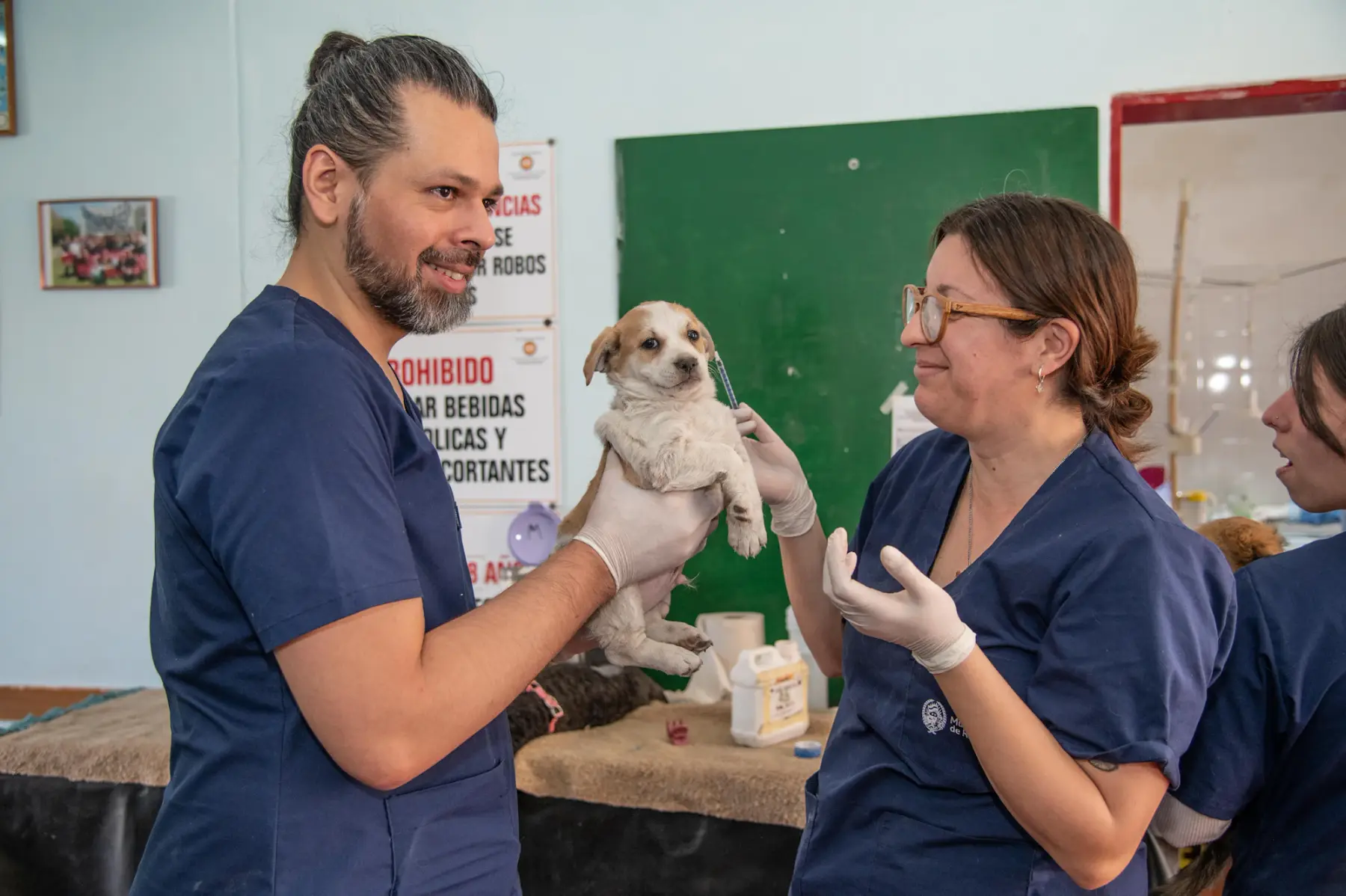 Dois profissionais de veterinária de uniforme azul sorriem enquanto seguram um filhote em um consultório