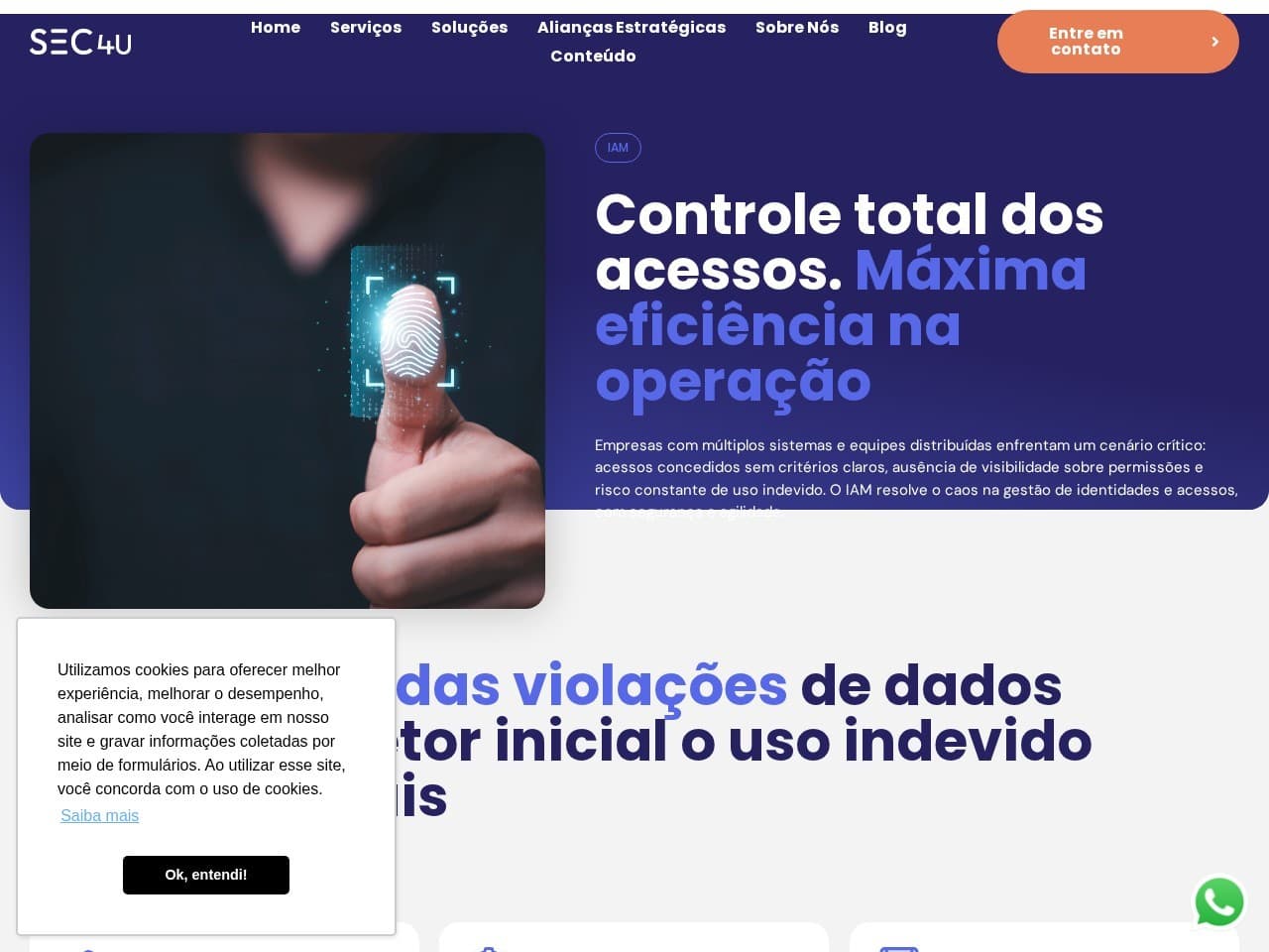 Captura real da página IAM da Sec4U.